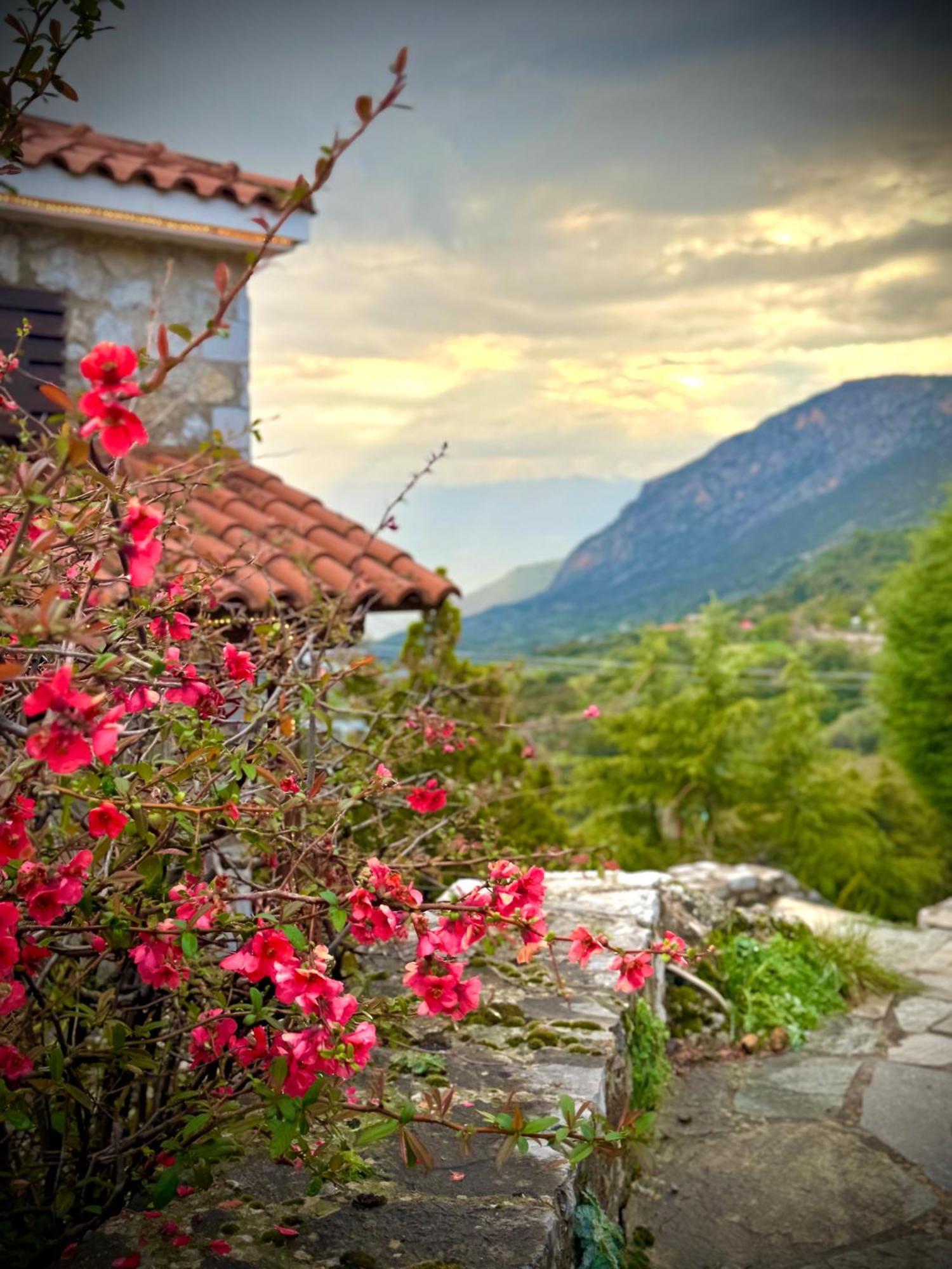 Rock Dandy Deluxe Chalet In Arachova - Delphi, Sauna, Prv Parking, Amazing View מראה חיצוני תמונה